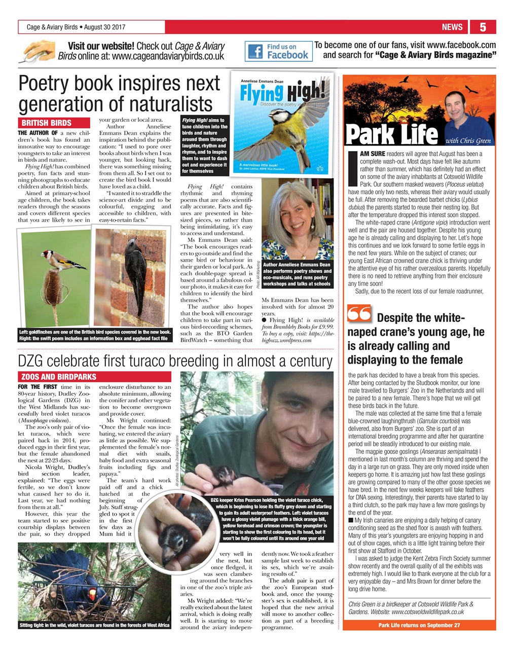 Cage & Aviary Birds Preview Pages