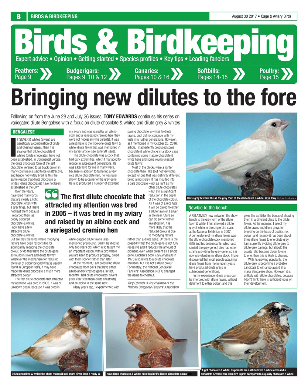 Cage & Aviary Birds Preview Pages
