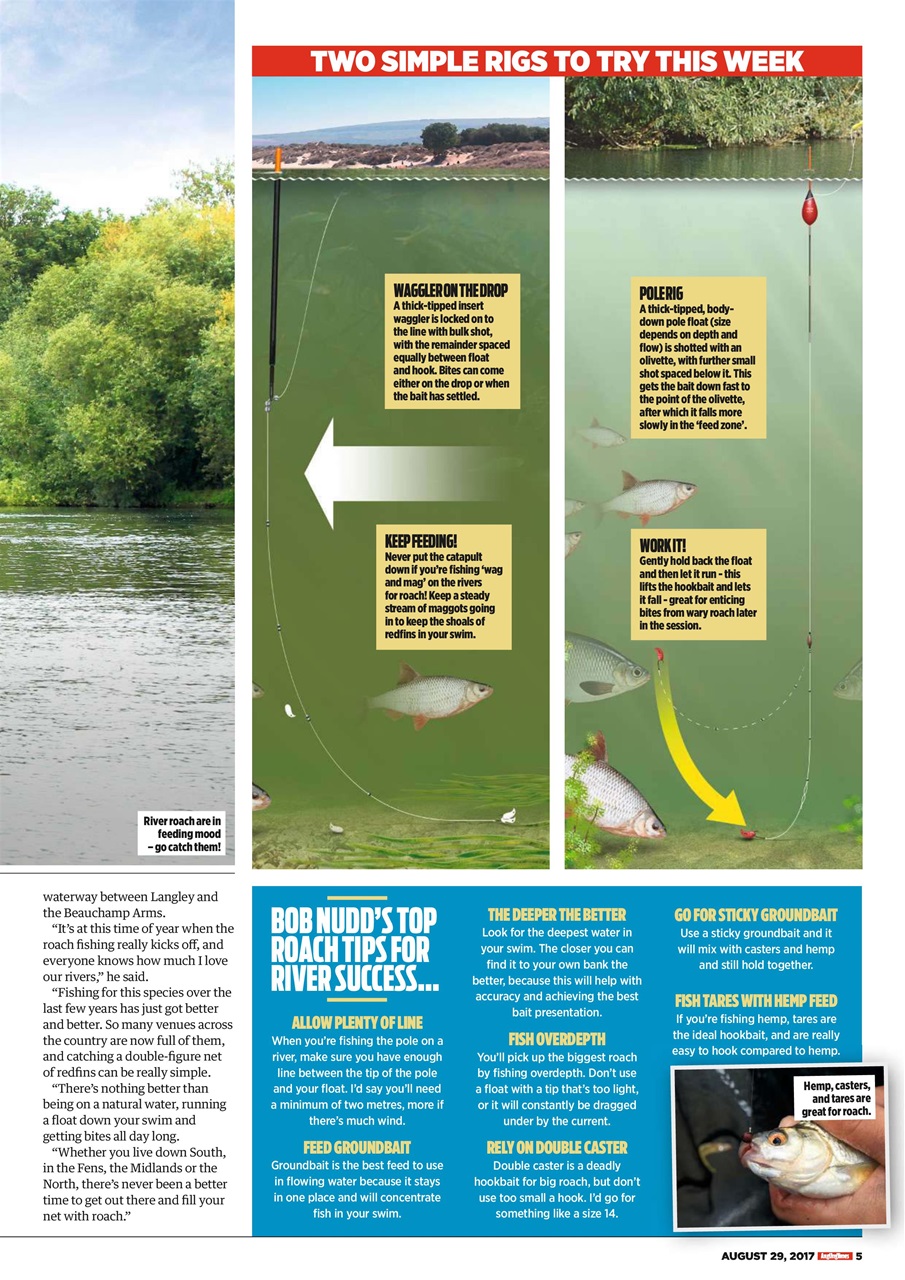 Angling Times Preview Pages