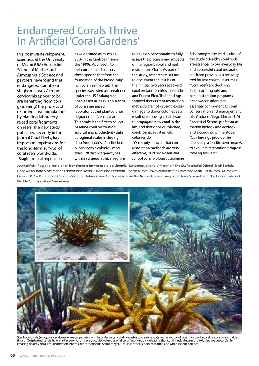 UltraMarine Magazine Preview Pages