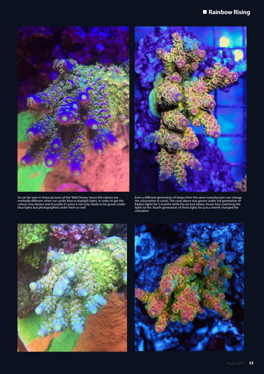 UltraMarine Magazine Preview Pages