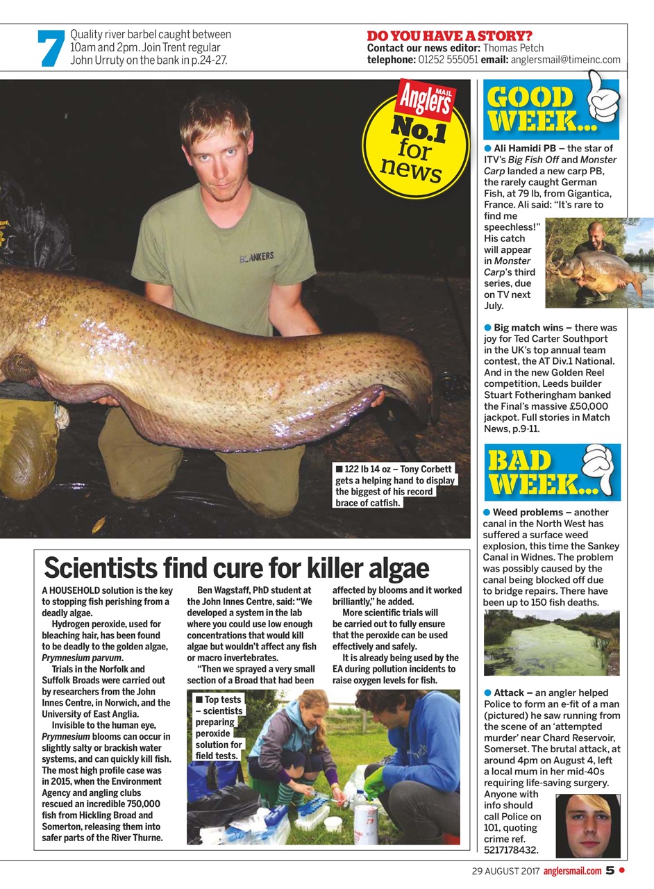 Anglers Mail Preview Pages