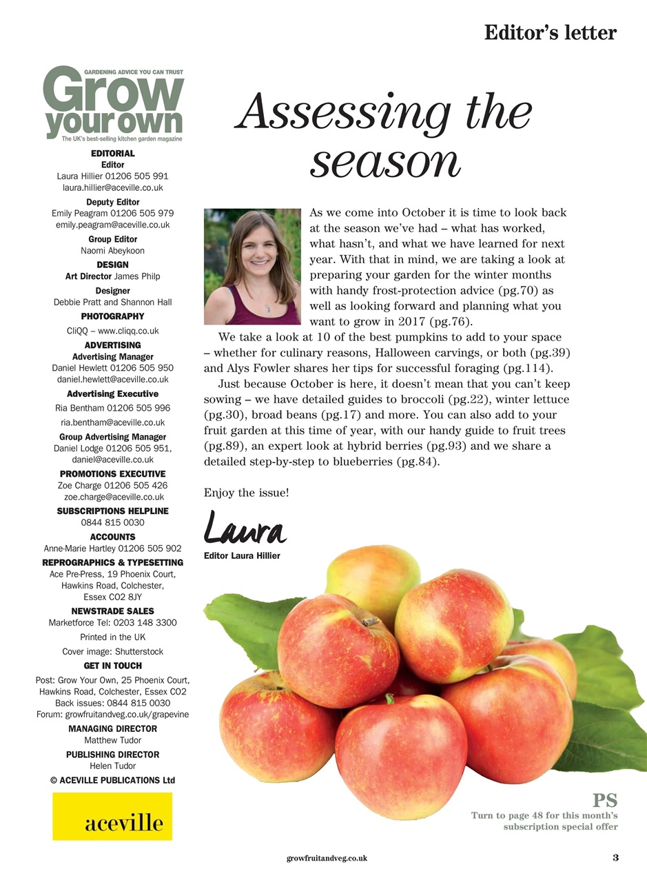 Grow Your Own Preview Pages