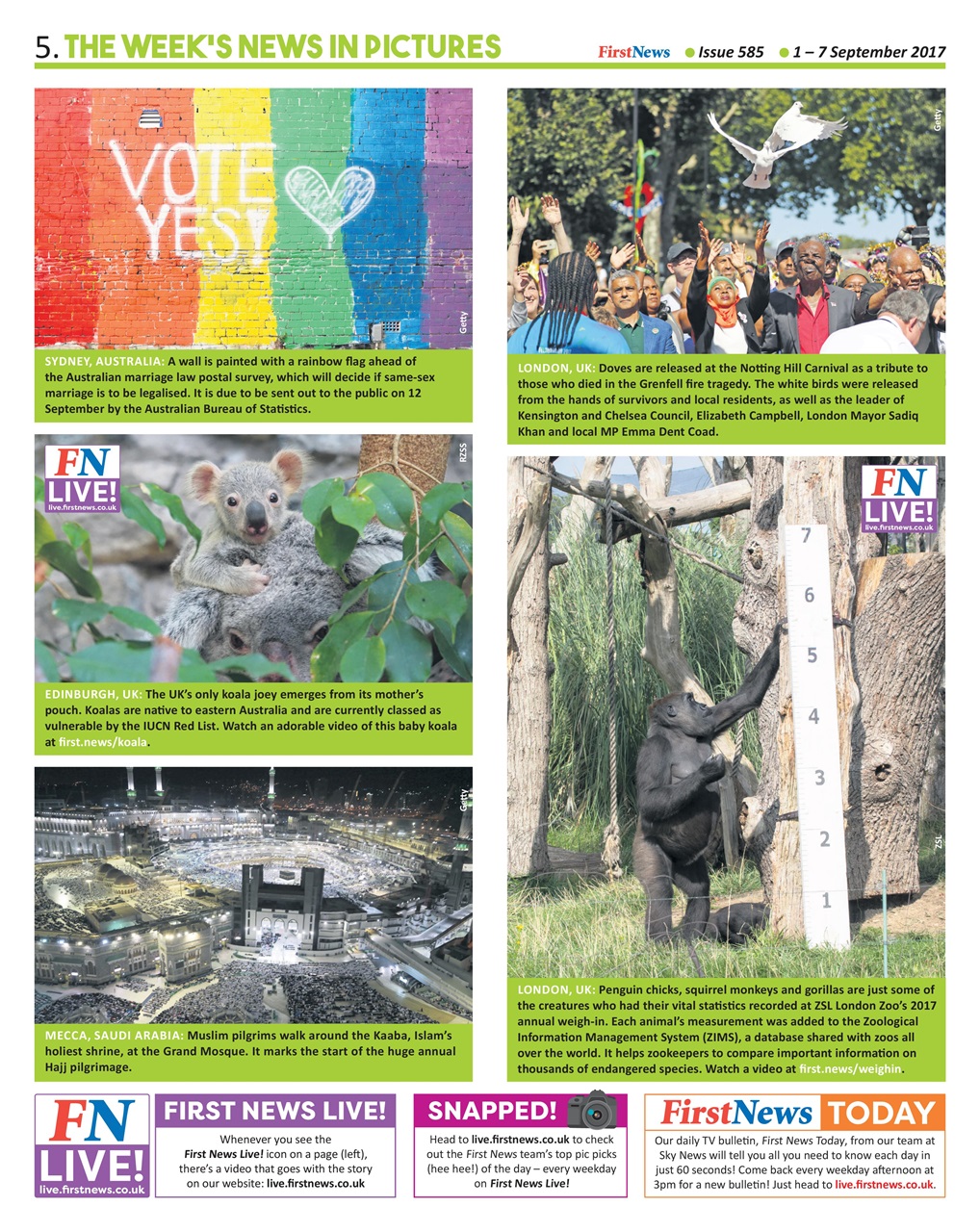 First News Preview Pages