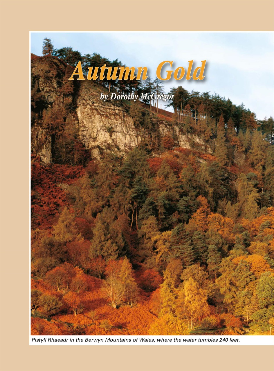 Evergreen Preview Pages