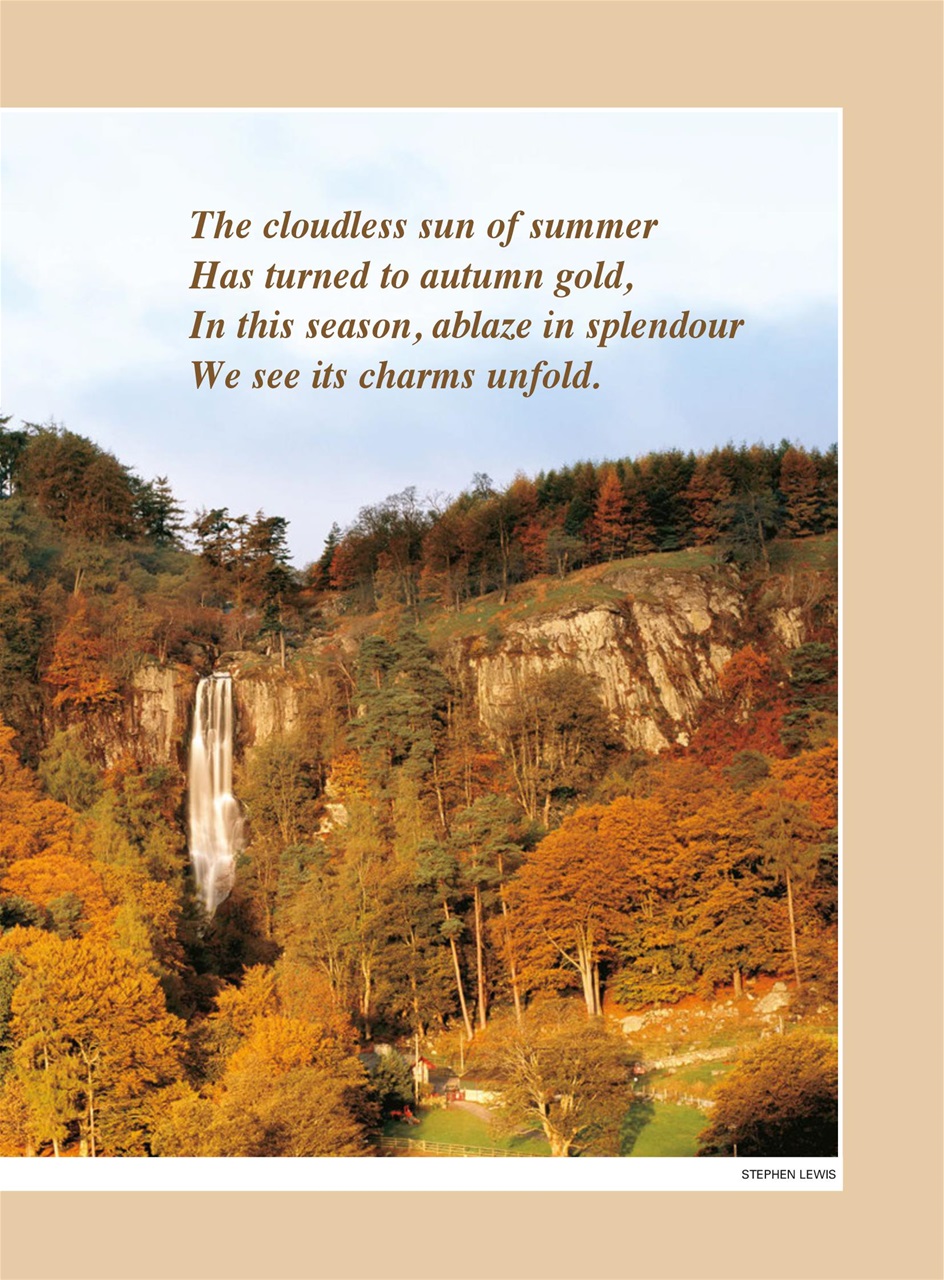 Evergreen Preview Pages