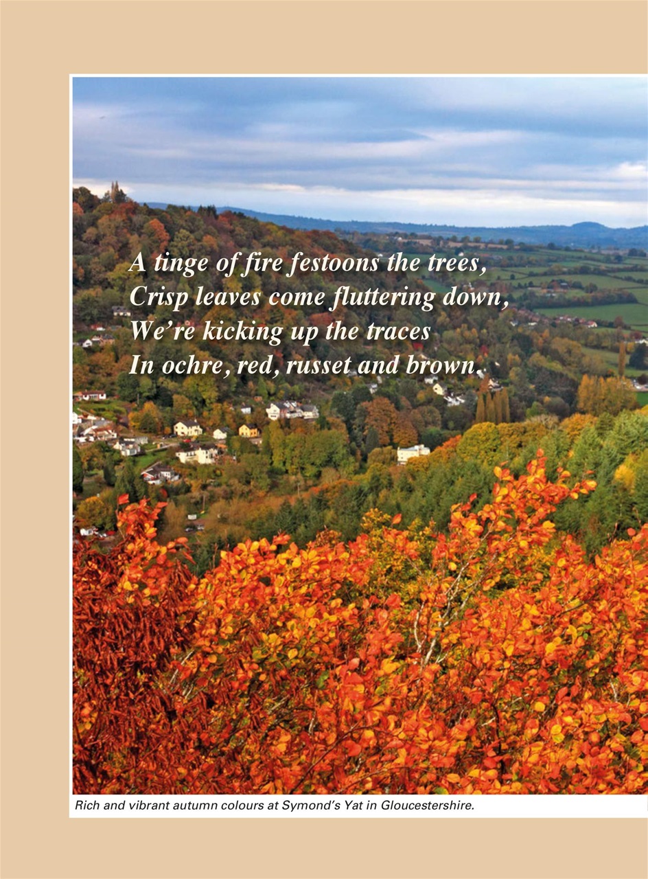 Evergreen Preview Pages