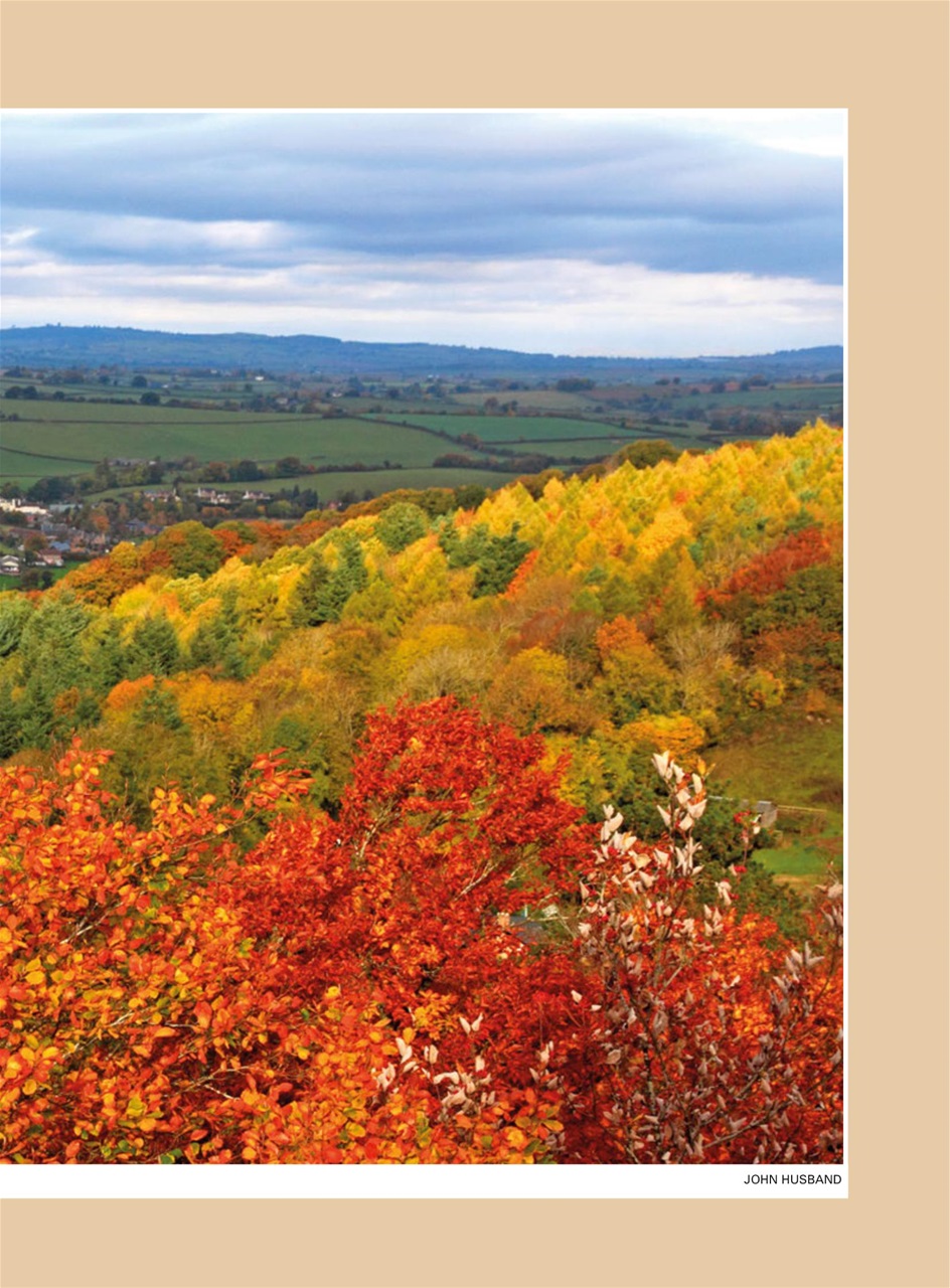 Evergreen Preview Pages