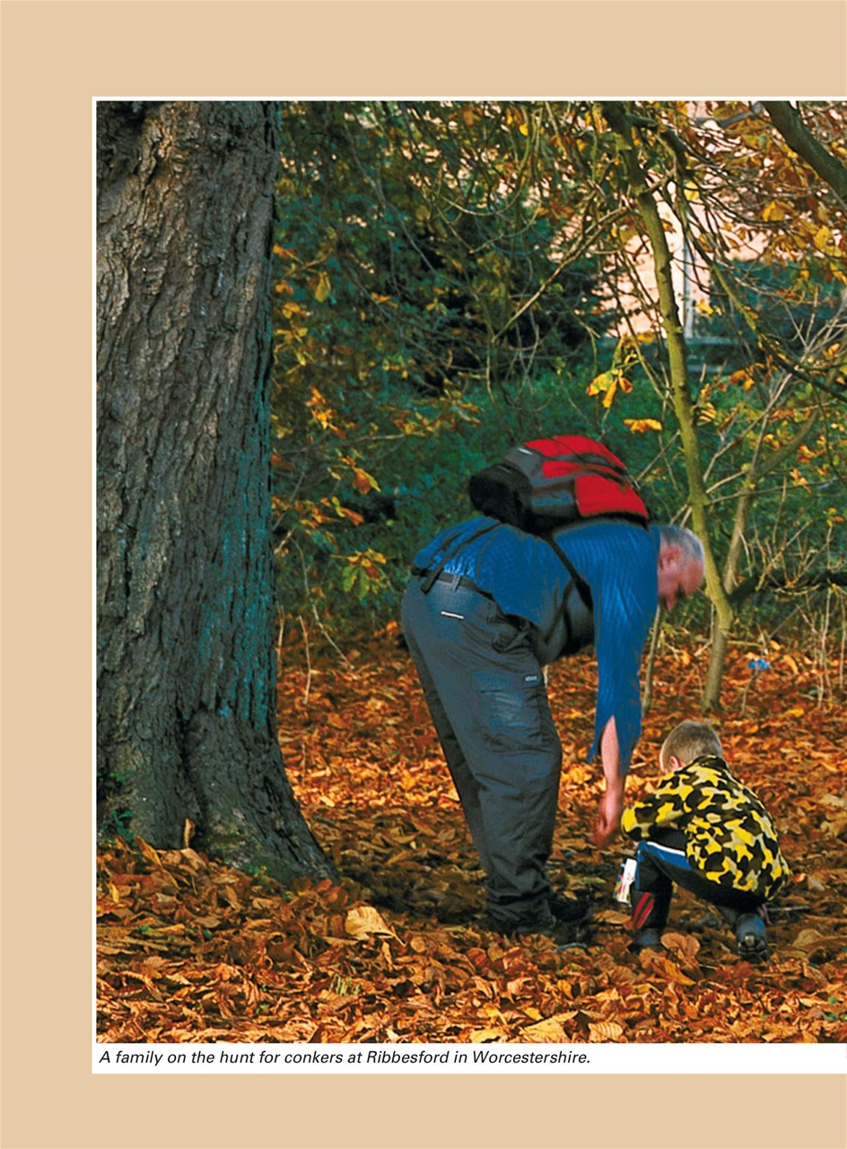 Evergreen Preview Pages