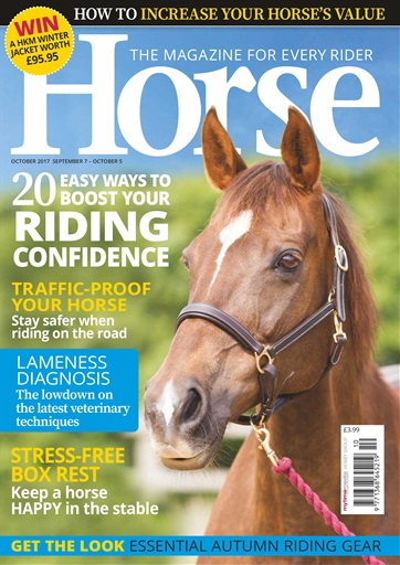 Horse issue 