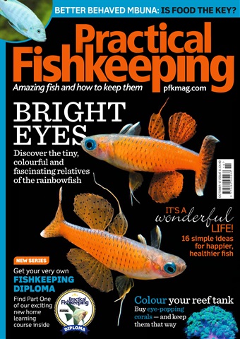 Practical Fishkeeping issue October 2017