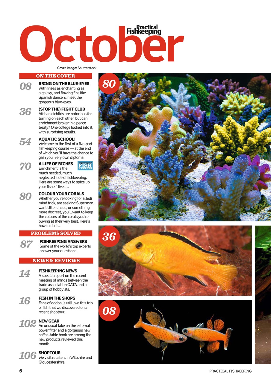 Practical Fishkeeping Preview Pages