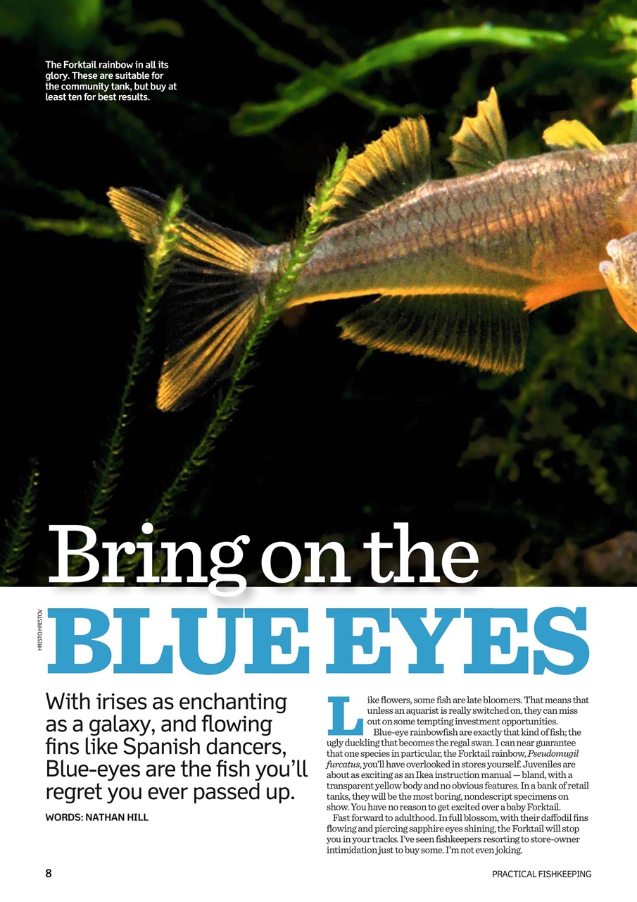 Practical Fishkeeping Preview Pages