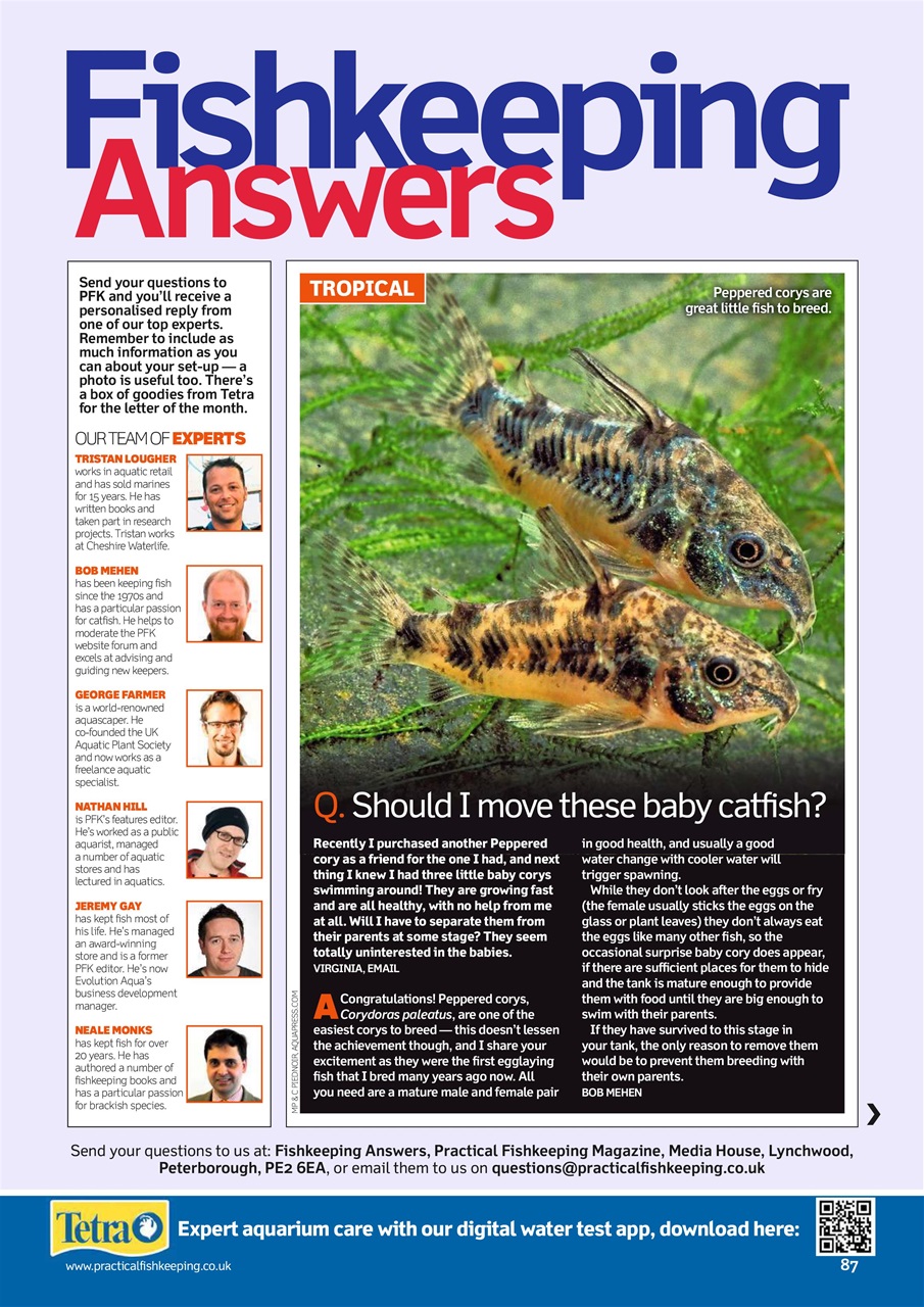 Practical Fishkeeping Preview Pages