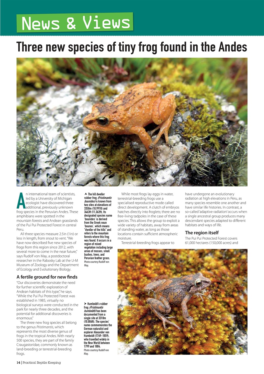 Practical Reptile Keeping Preview Pages