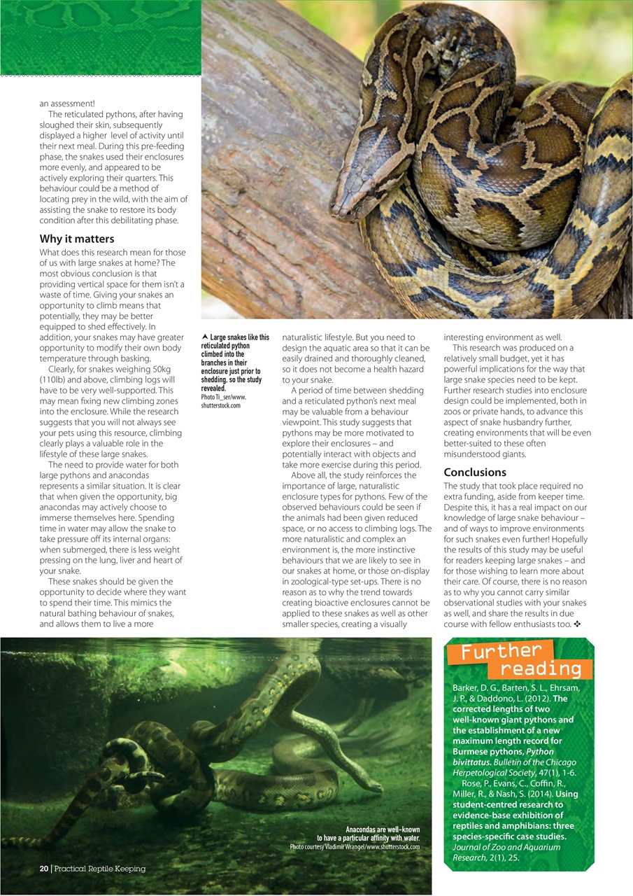 Practical Reptile Keeping Preview Pages