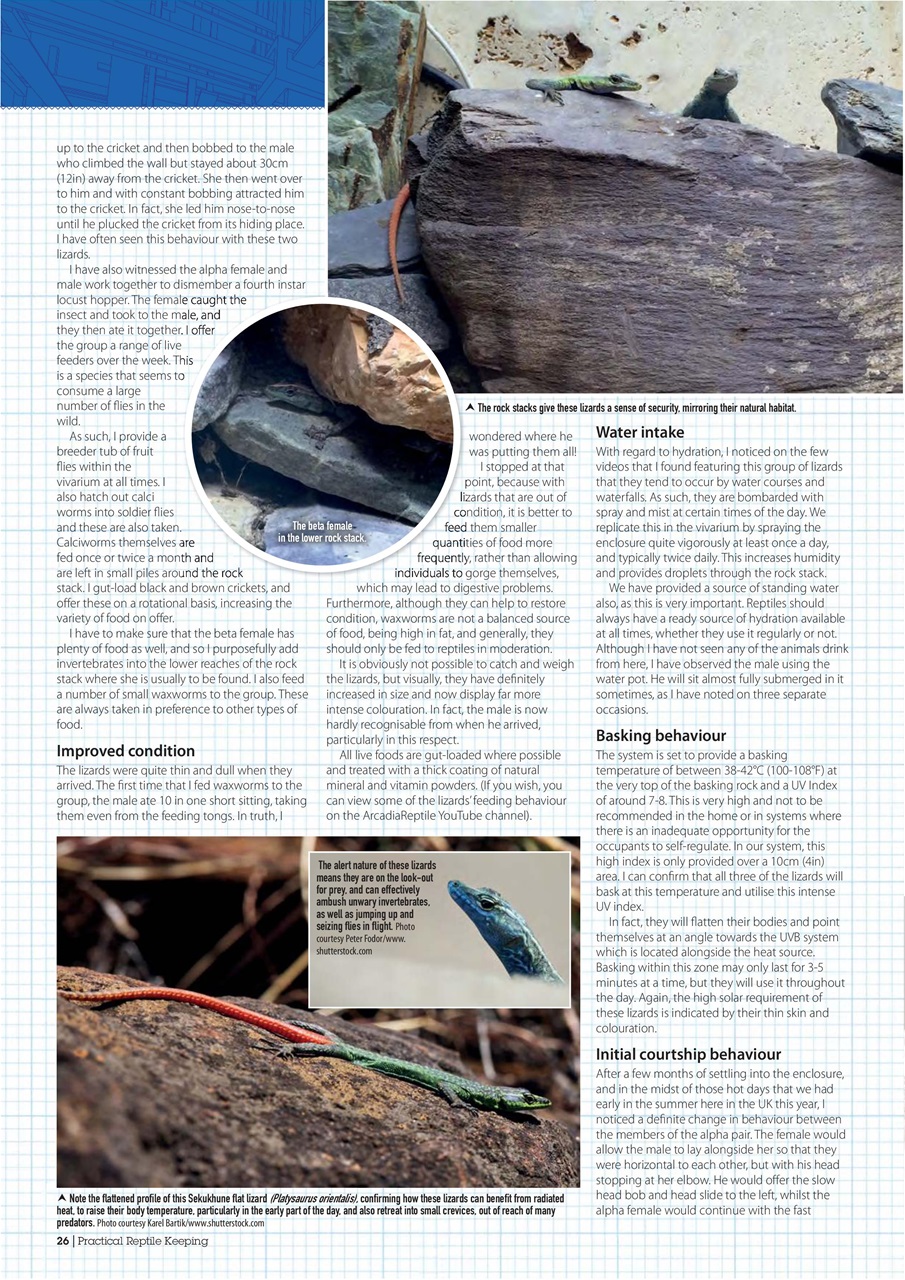 Practical Reptile Keeping Preview Pages