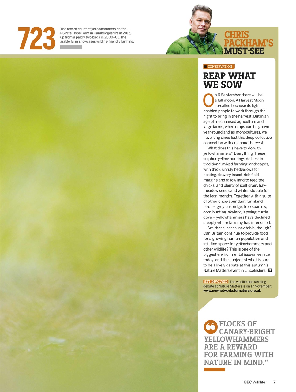 BBC Wildlife Magazine Preview Pages