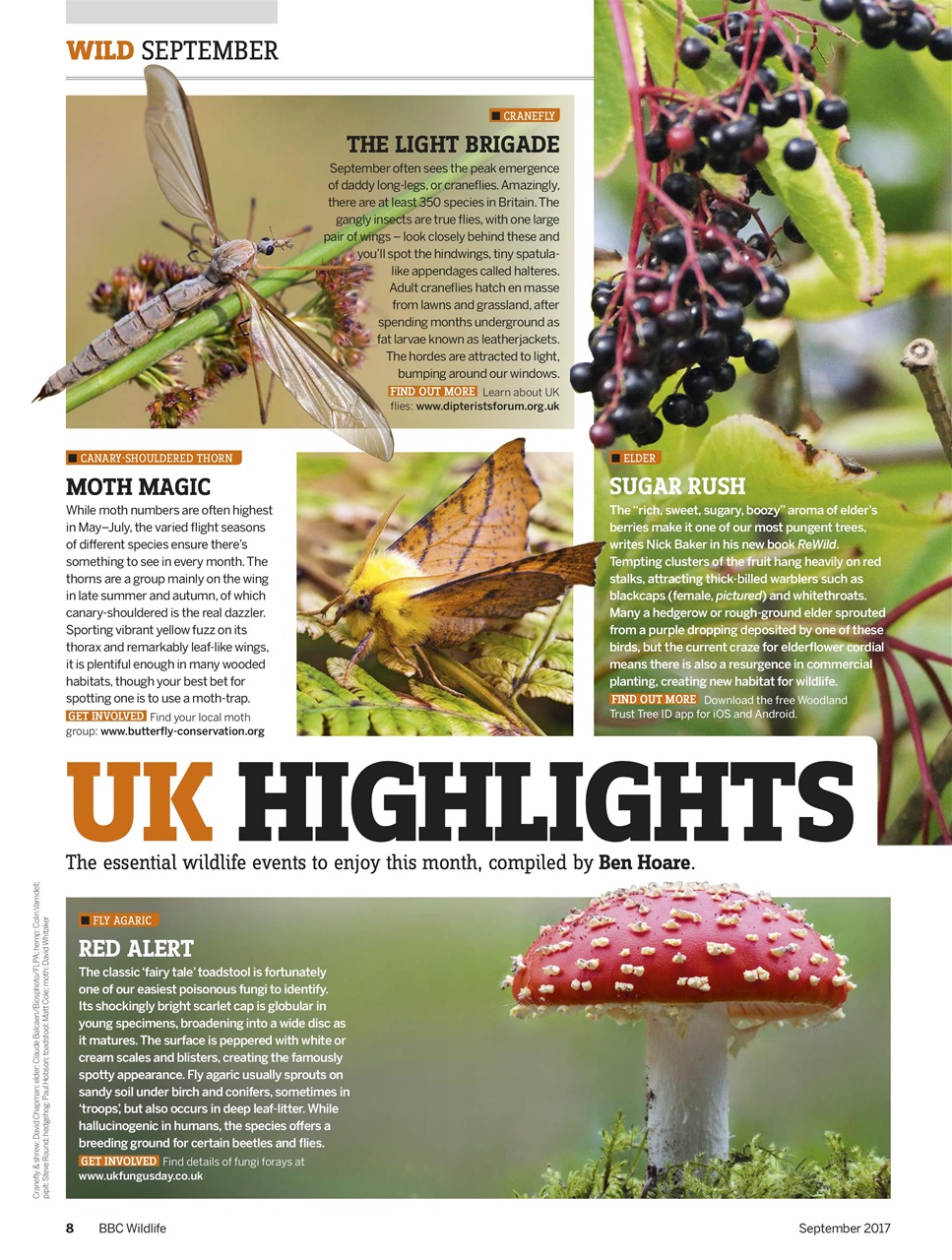 BBC Wildlife Magazine Preview Pages
