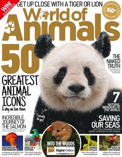 World of Animals issue 