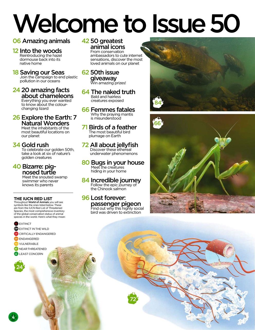 World of Animals Preview Pages