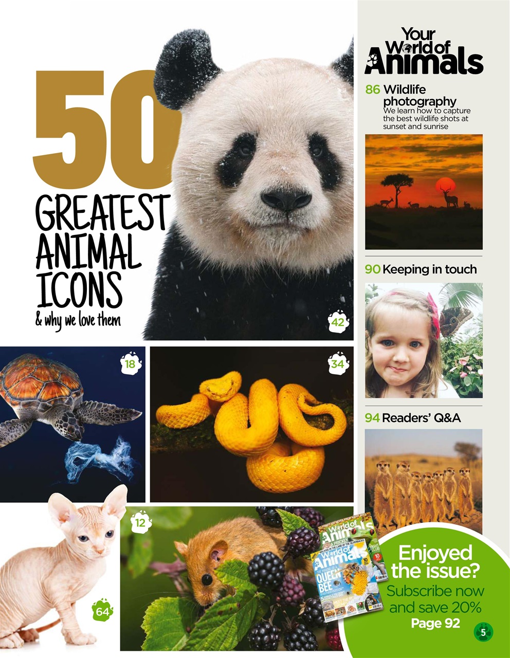 World of Animals Preview Pages
