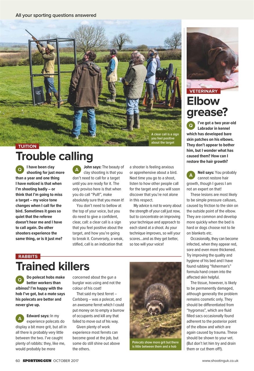 Sporting Gun Preview Pages