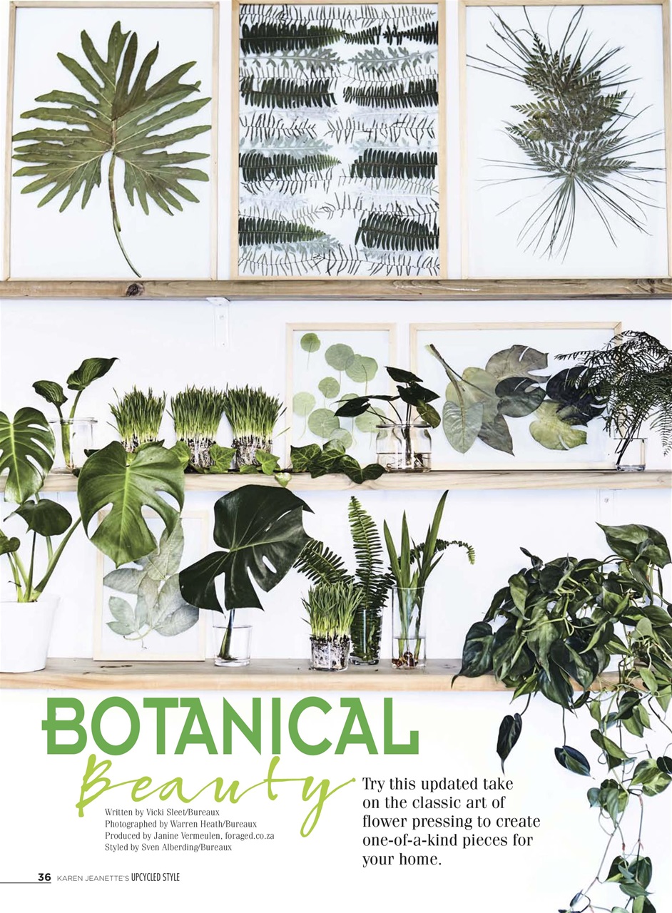 Engaged Explorer Preview Pages