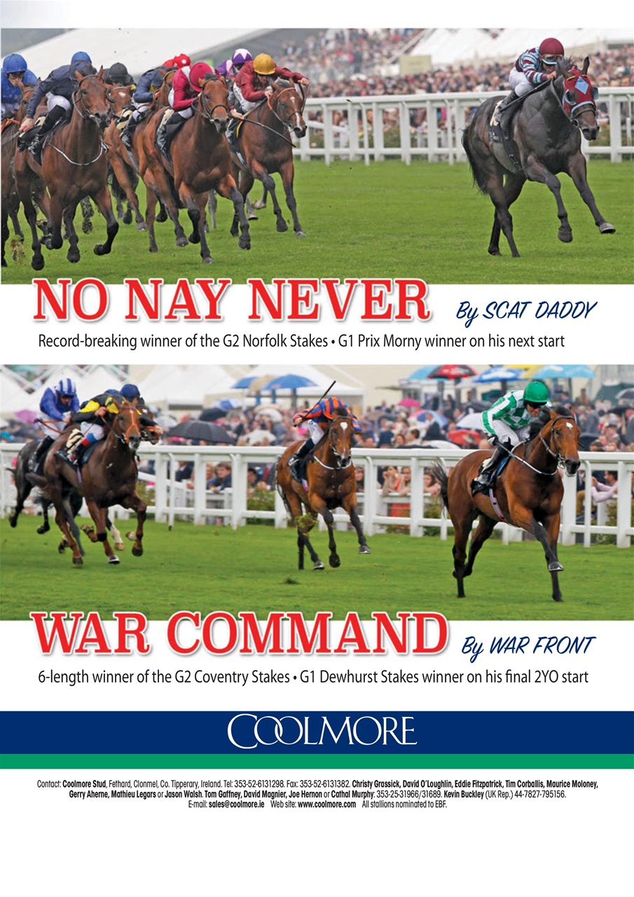 The Owner Breeder Preview Pages