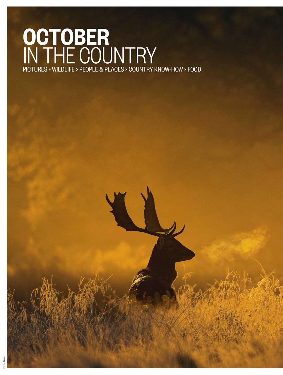 BBC Countryfile Magazine Preview Pages