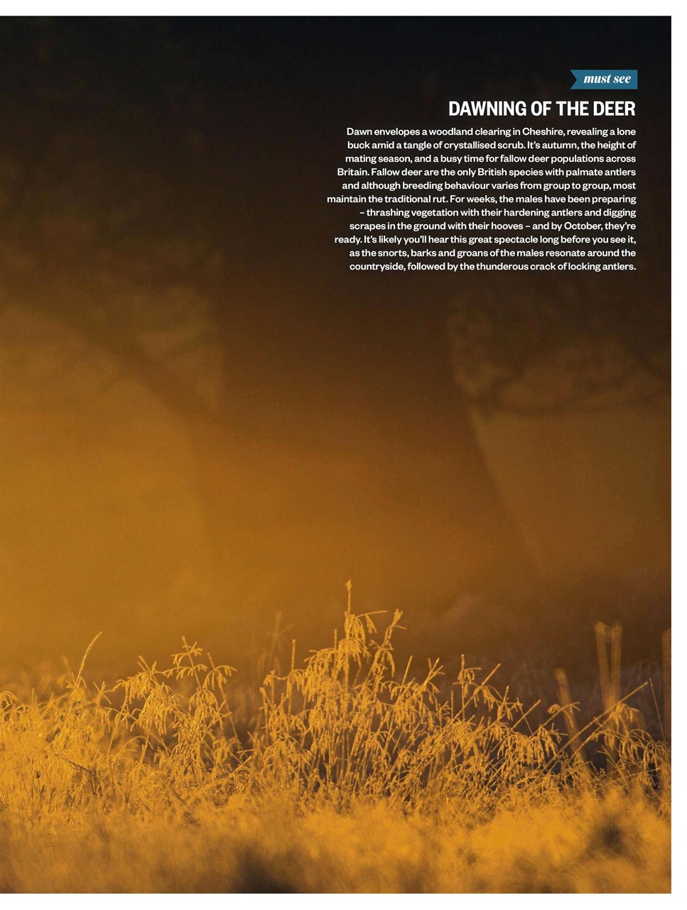 BBC Countryfile Magazine Preview Pages