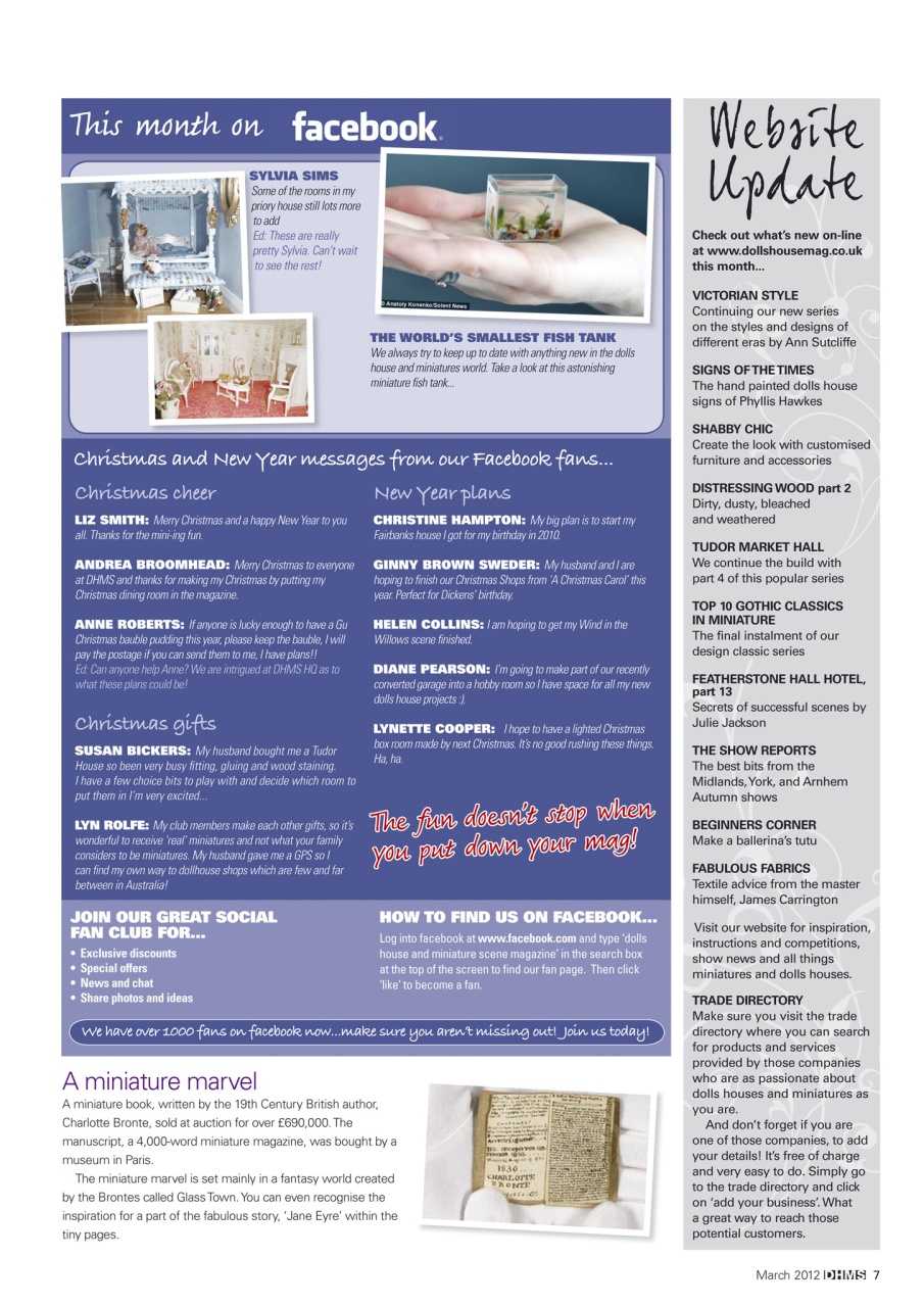 Dolls House and Miniature Scene Preview Pages