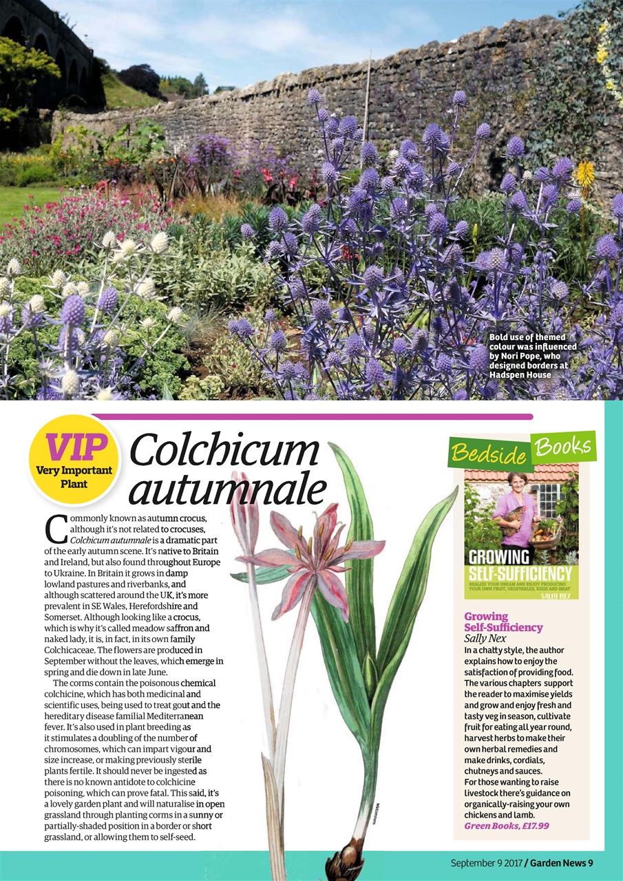 Garden News Preview Pages