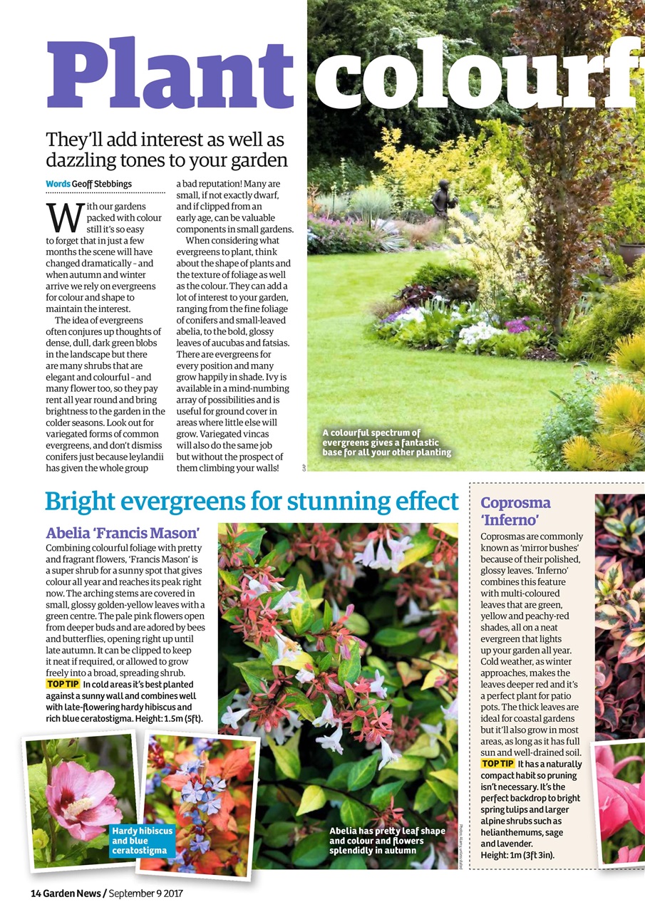 Garden News Preview Pages