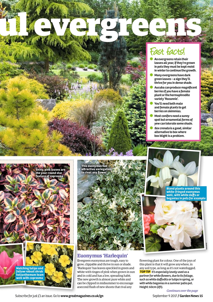 Garden News Preview Pages