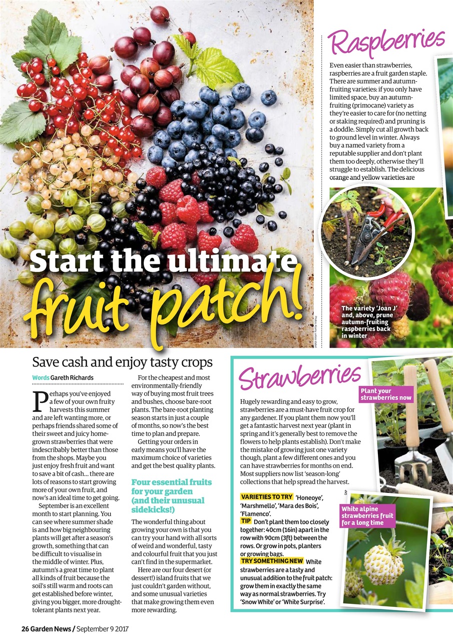 Garden News Preview Pages