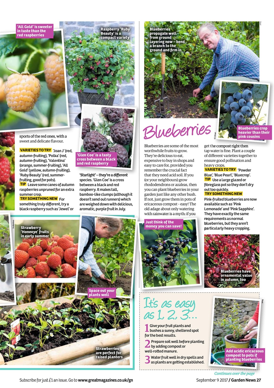 Garden News Preview Pages