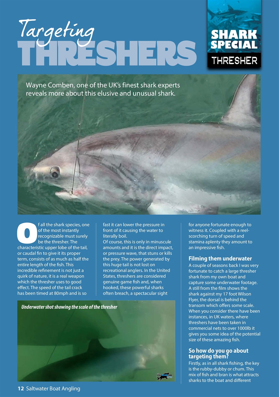 Saltwater Boat Angling Preview Pages