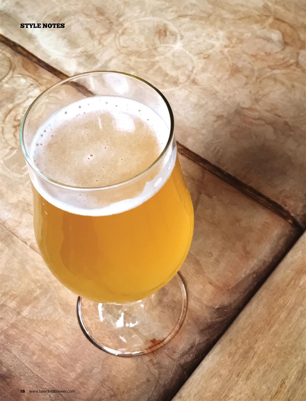 Beer and Brewer Preview Pages