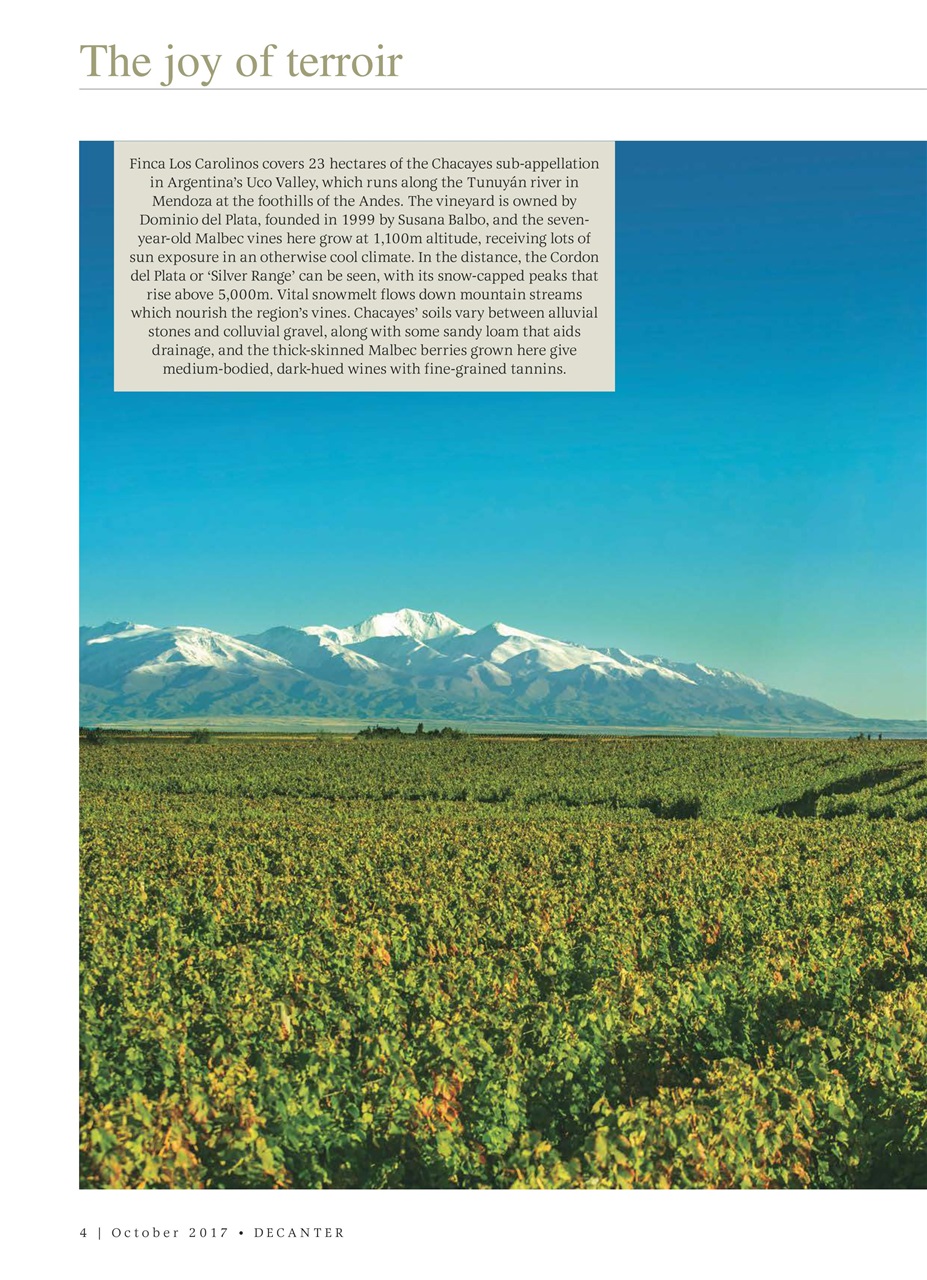Decanter Preview Pages