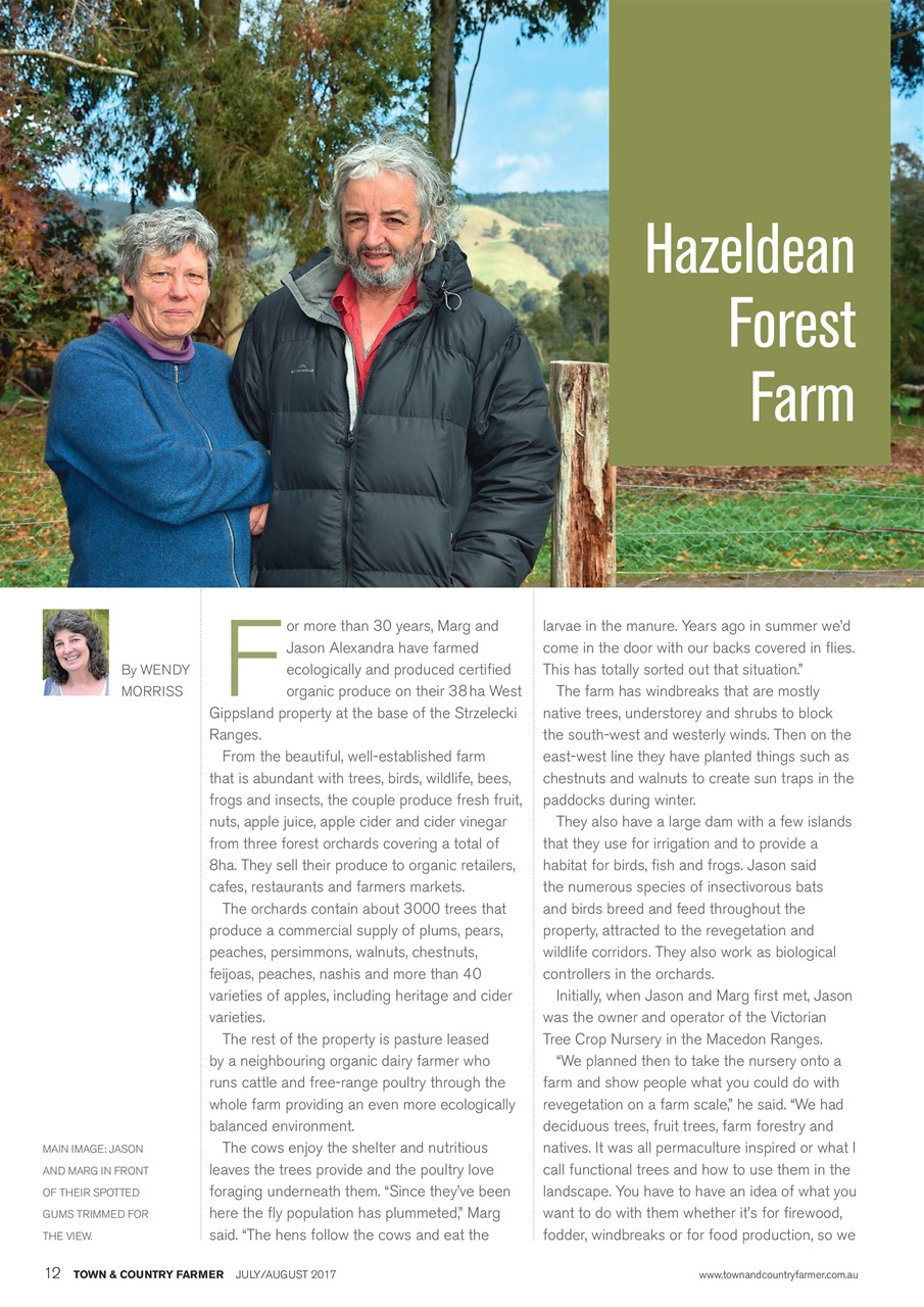 Town And Country Farmer Preview Pages