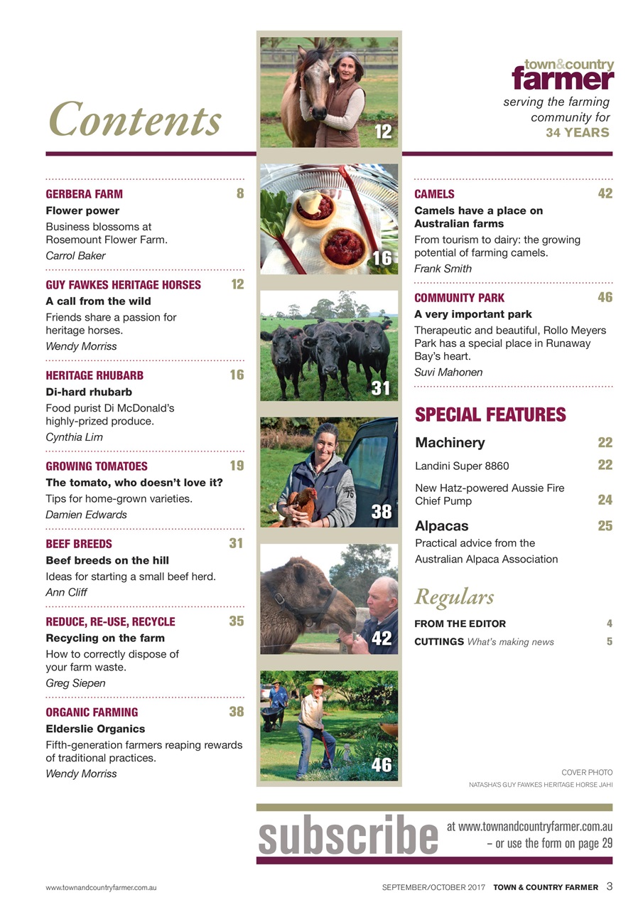 Town And Country Farmer Preview Pages