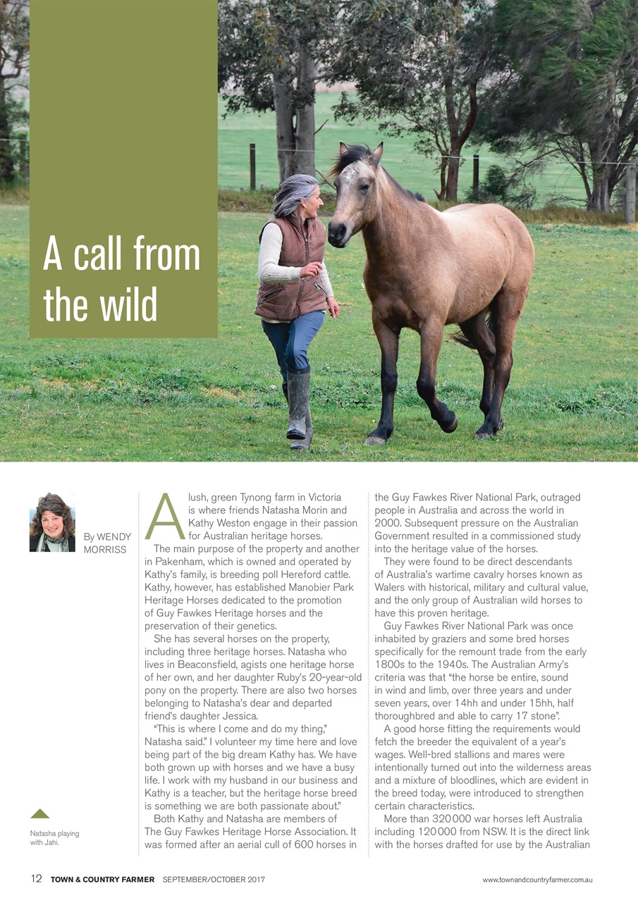 Town And Country Farmer Preview Pages