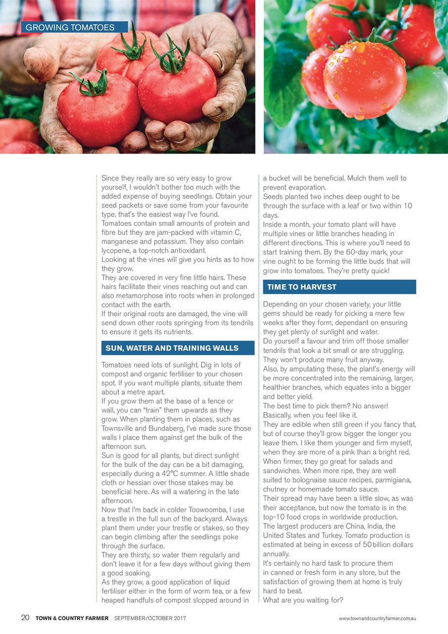 Town And Country Farmer Preview Pages