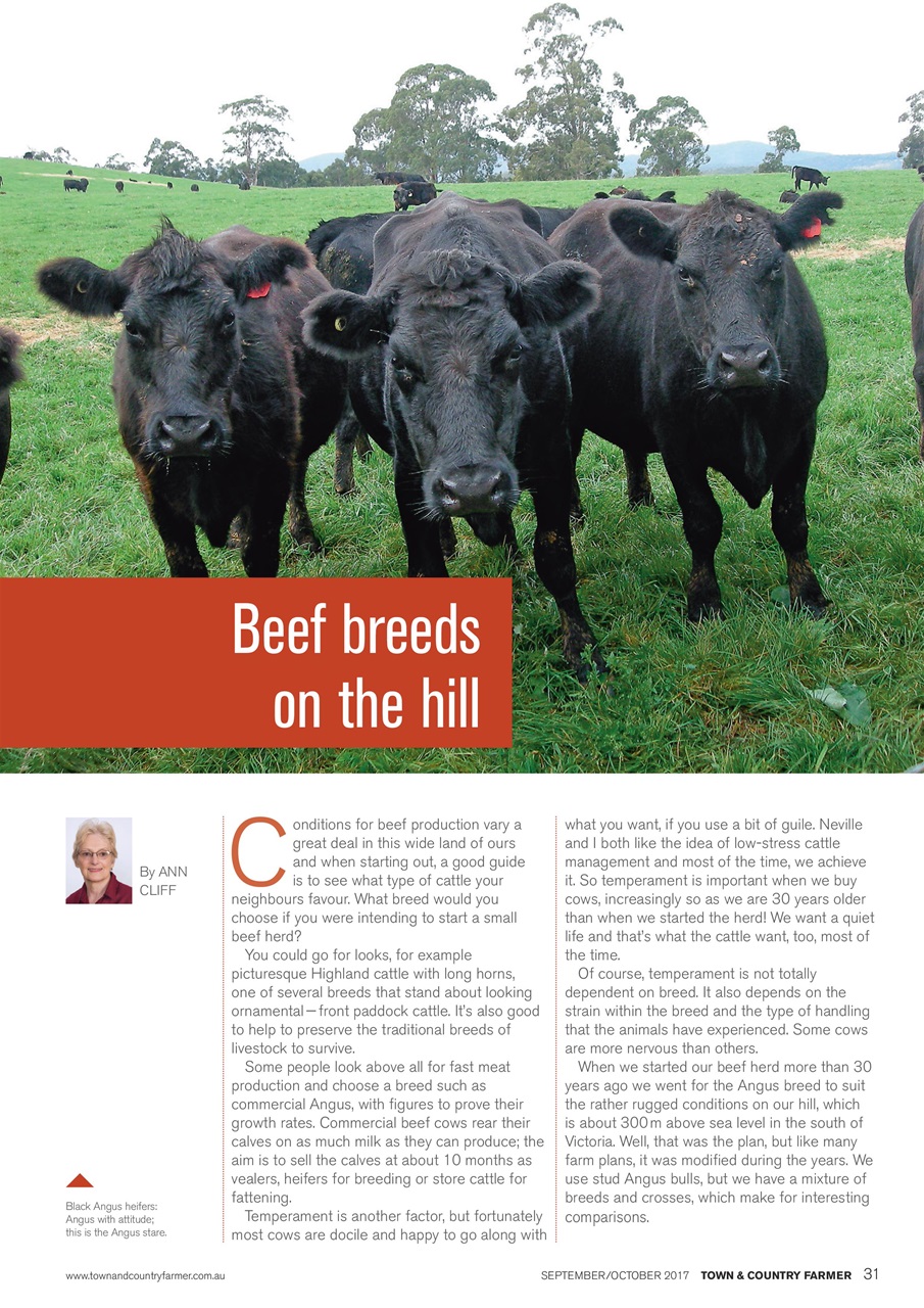 Town And Country Farmer Preview Pages