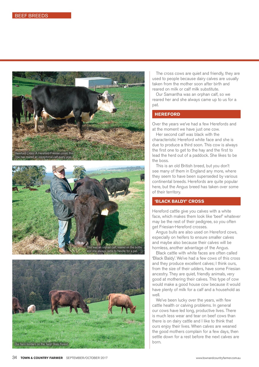 Town And Country Farmer Preview Pages
