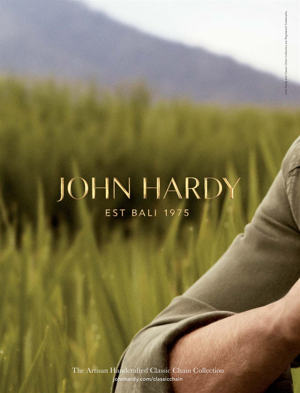 Attitude Preview Pages