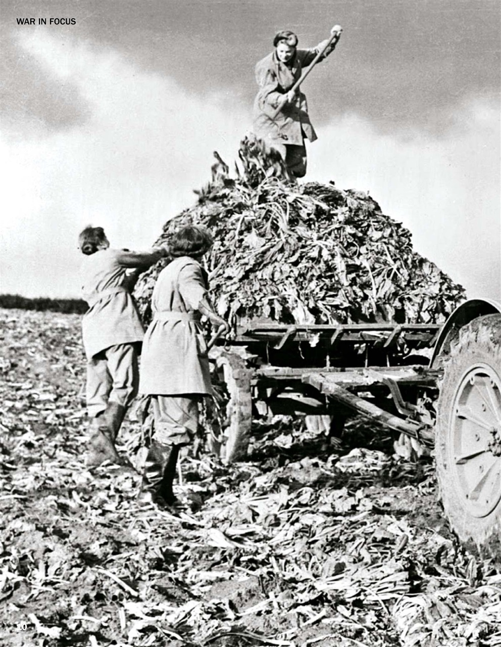 History of War Preview Pages