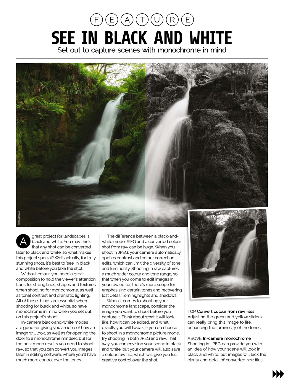 Photography Week Preview Pages