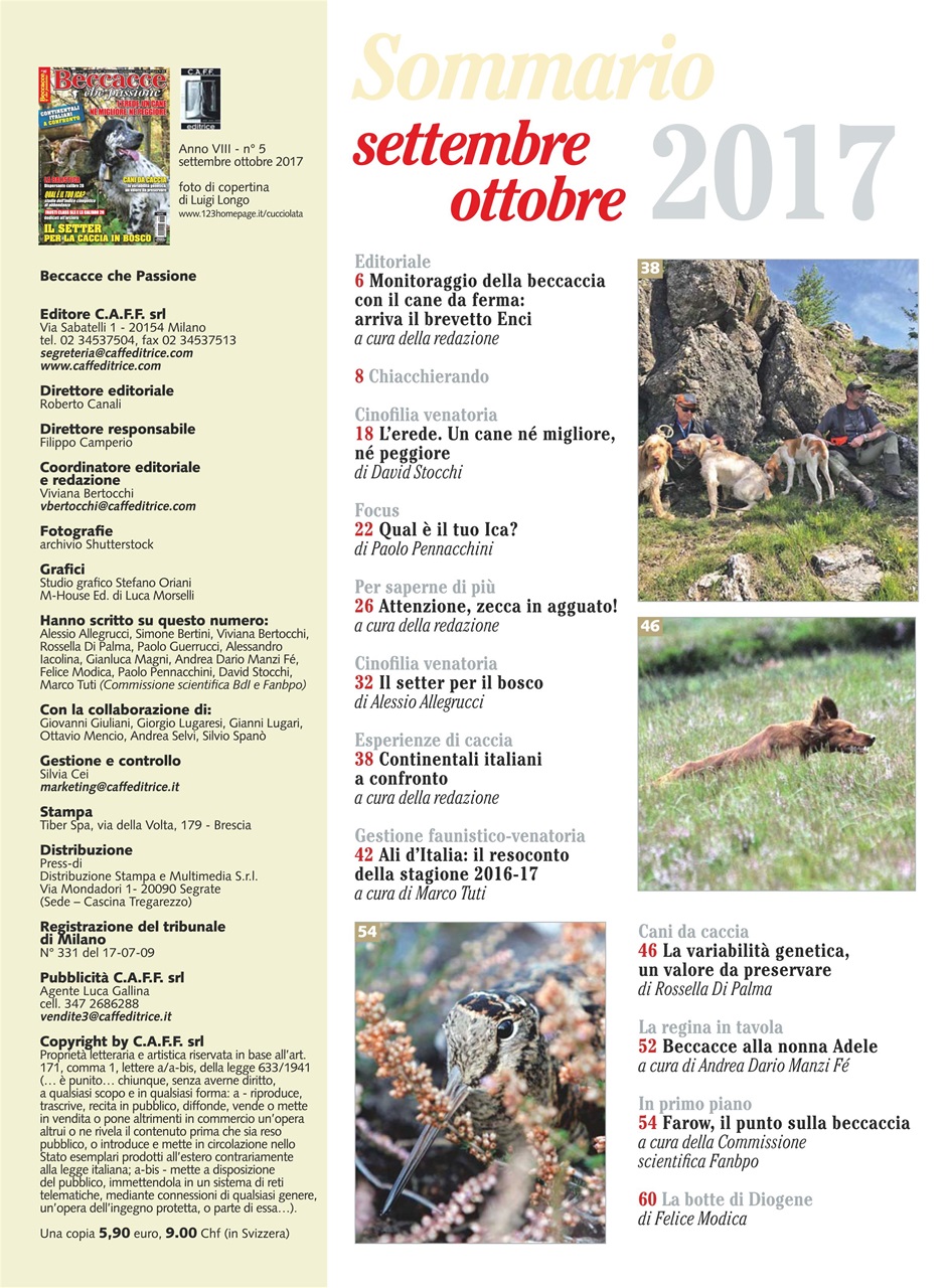 BECCACCE CHE PASSIONE Preview Pages